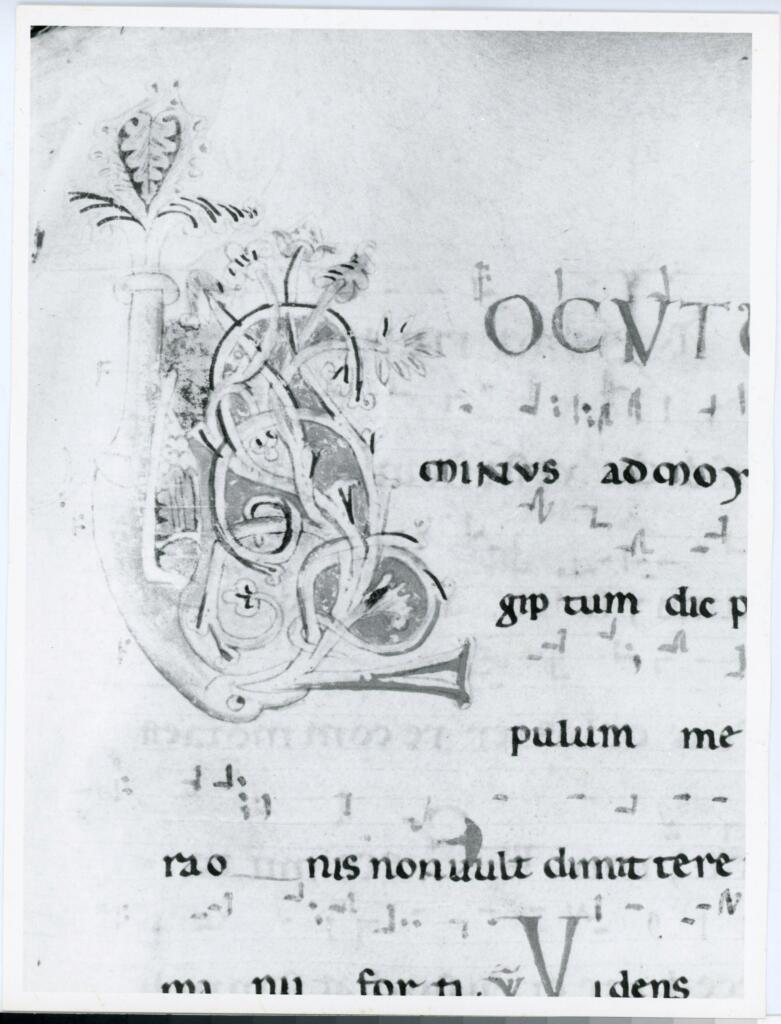 Anonimo italiano sec. XII , Iniziale L, Iniziale figurata, Motivi decorativi vegetali e zoomorfi