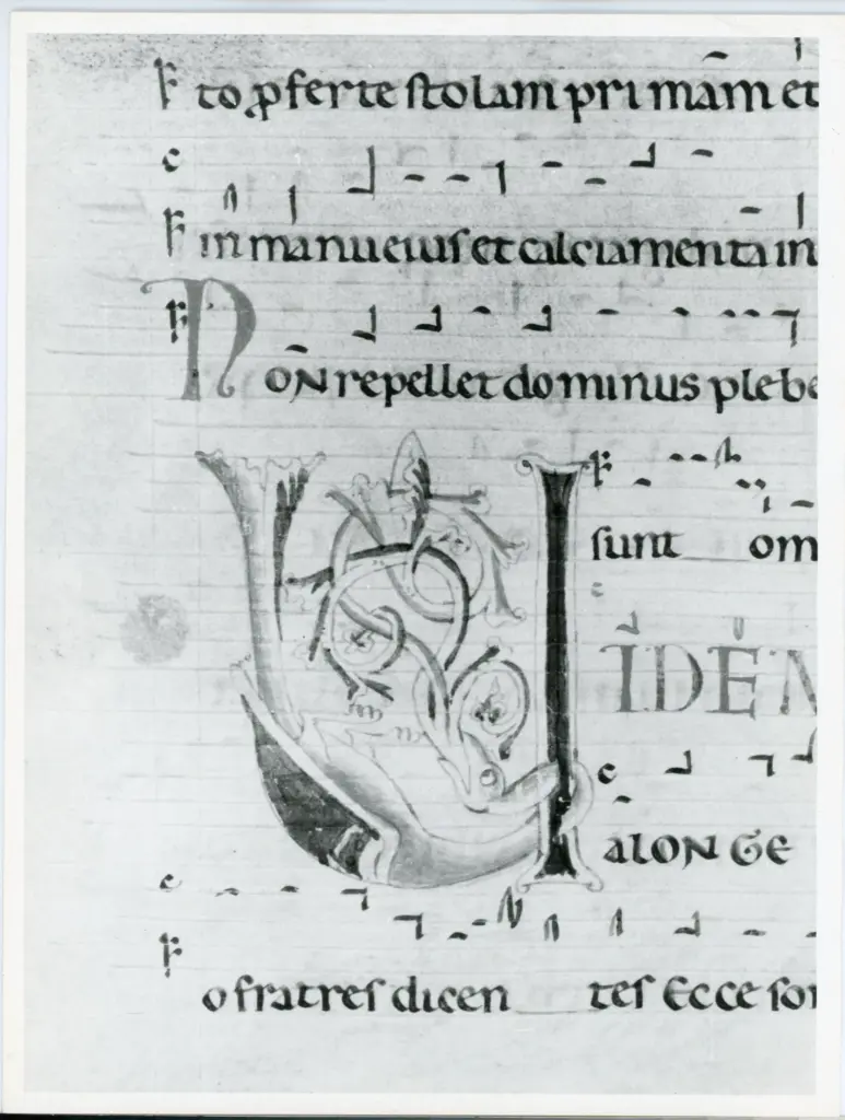 Universit&agrave; di Pisa. Dipartimento di Storia delle Arti , Anonimo italiano - sec. XII, inizio - Lucca, Biblioteca Capitolare Feliniana, Ms. 602, f. 64v, particolare , fronte