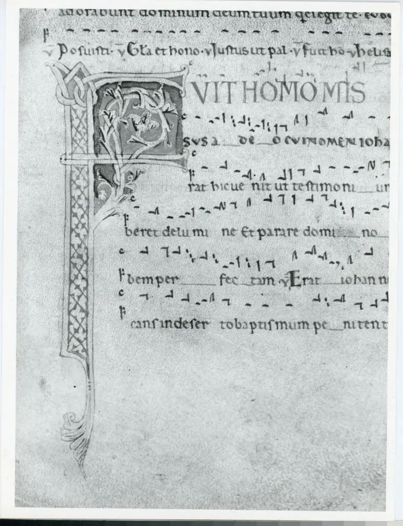 Anonimo italiano sec. XII , Iniziale F, Iniziale decorata, Motivi decorativi geometrici e vegetali