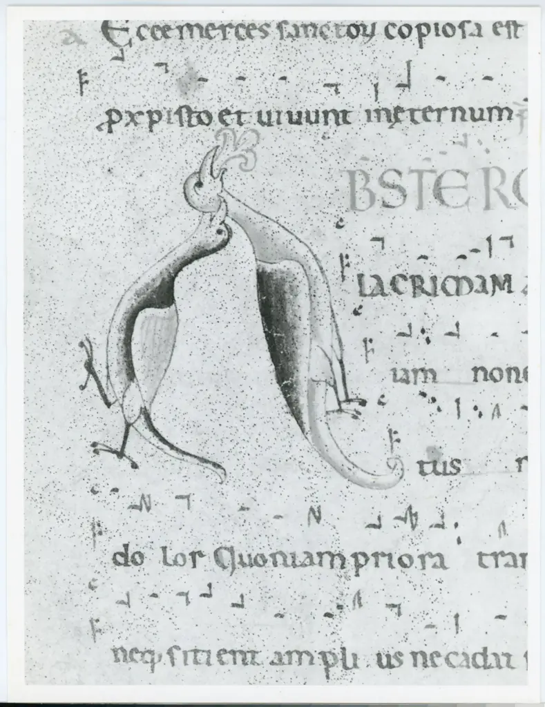 Universit&agrave; di Pisa. Dipartimento di Storia delle Arti , Anonimo italiano - sec. XII, inizio - Lucca, Biblioteca Capitolare Feliniana, Ms. 602, f. 213v, particolare , fronte