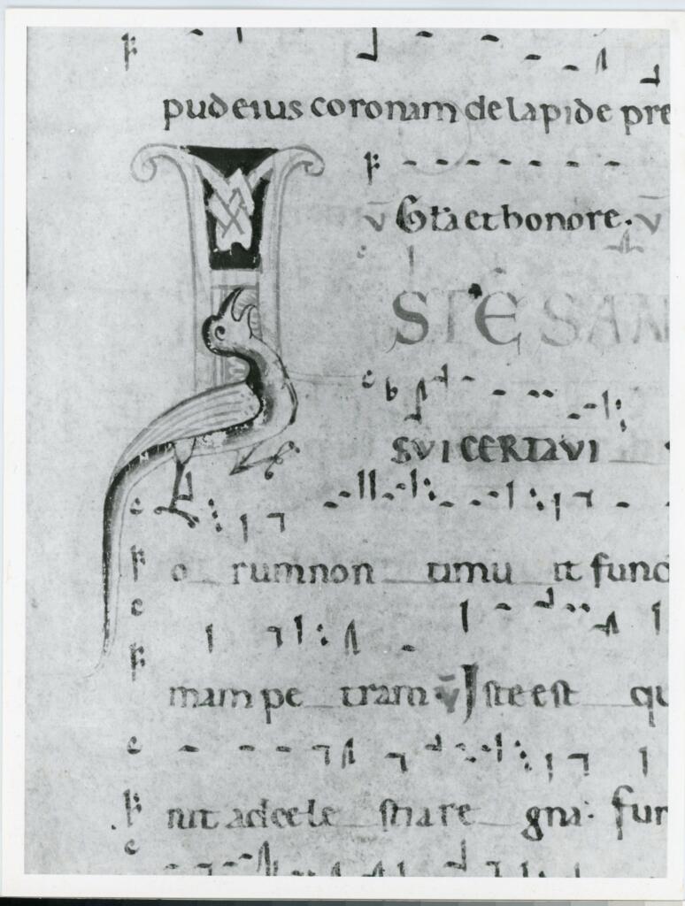 Anonimo italiano sec. XII , Iniziale I, Iniziale figurata, Motivi decorativi geometrici e animali