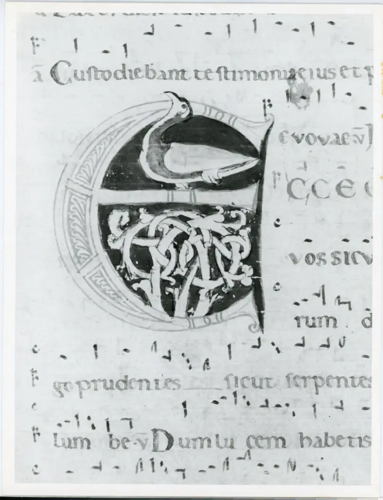 Universit&agrave; di Pisa. Dipartimento di Storia delle Arti , Anonimo italiano - sec. XII, inizio - Lucca, Biblioteca Capitolare Feliniana, Ms. 602, f. 211r, particolare , fronte