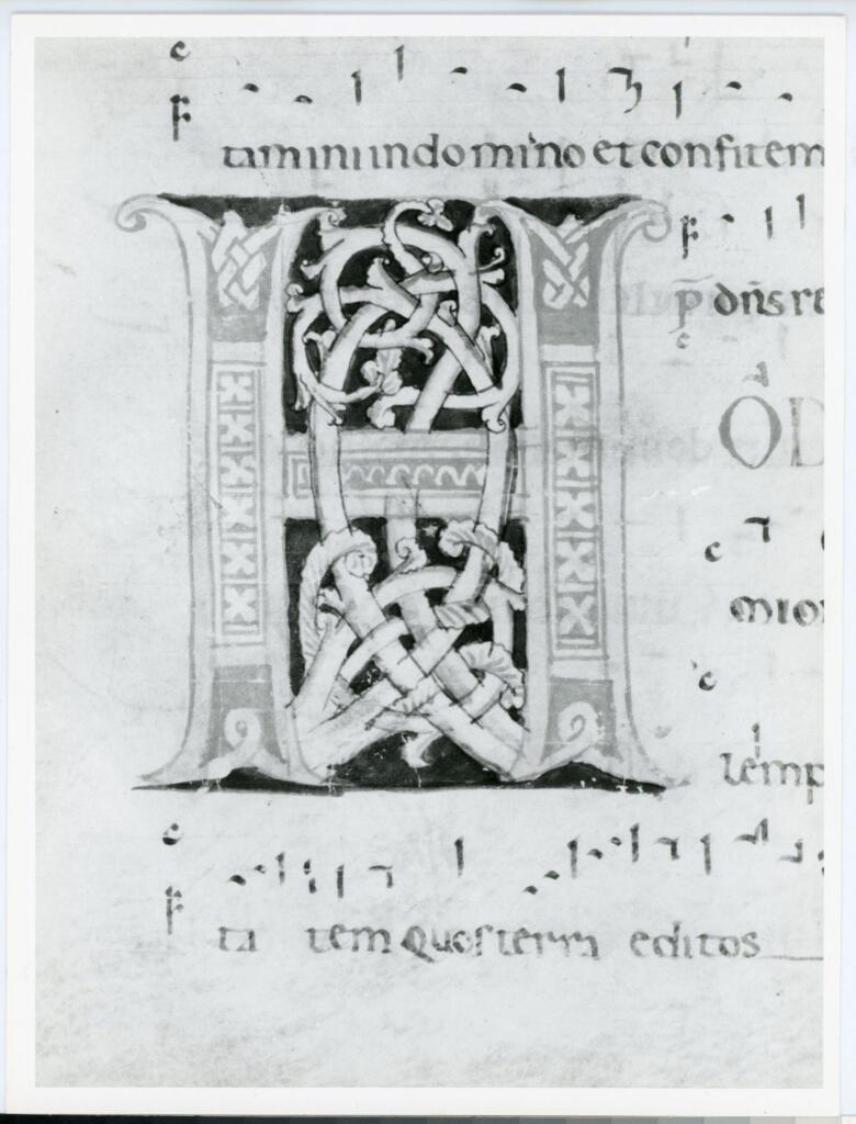Anonimo italiano sec. XII , Iniziale H, Iniziale decorata, Motivi decorativi geometrici e vegetali