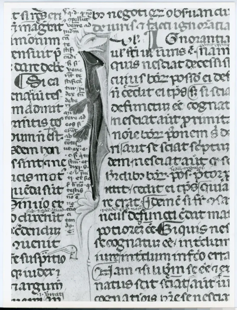Anonimo italiano sec. XIV , Iniziale I, Iniziale figurata, Motivo decorativo zoomorfo