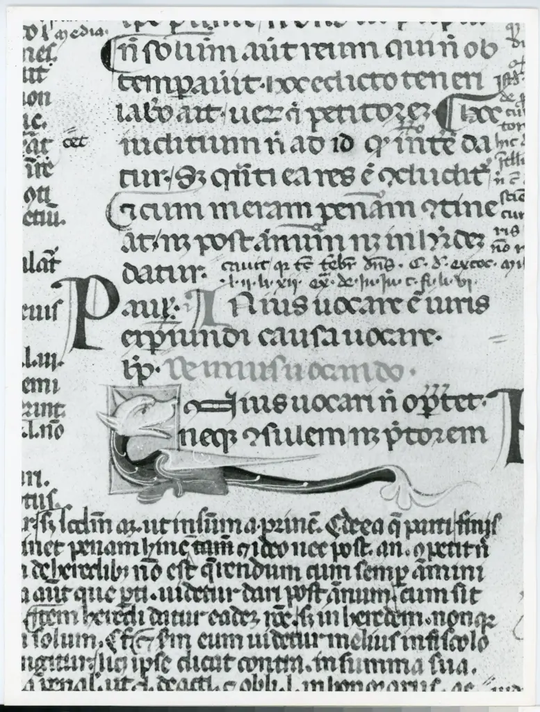 Universit&agrave; di Pisa. Dipartimento di Storia delle Arti , Anonimo italiano - sec. XIV, inizio - Lucca, Biblioteca Capitolare Feliniana, Ms. 313, f. 23v, particolare , fronte