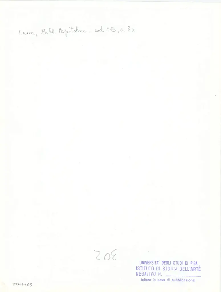 Universit&agrave; di Pisa. Dipartimento di Storia delle Arti , Anonimo italiano - sec. XIV, inizio - Lucca, Biblioteca Capitolare Feliniana, Ms. 313, f. 3v, particolare , retro