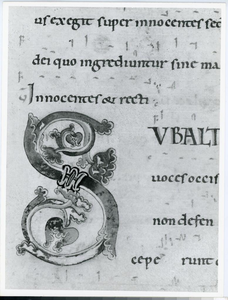 Anonimo italiano sec. XII , Iniziale S, Iniziale decorata, Motivi decorativi fitomorfi