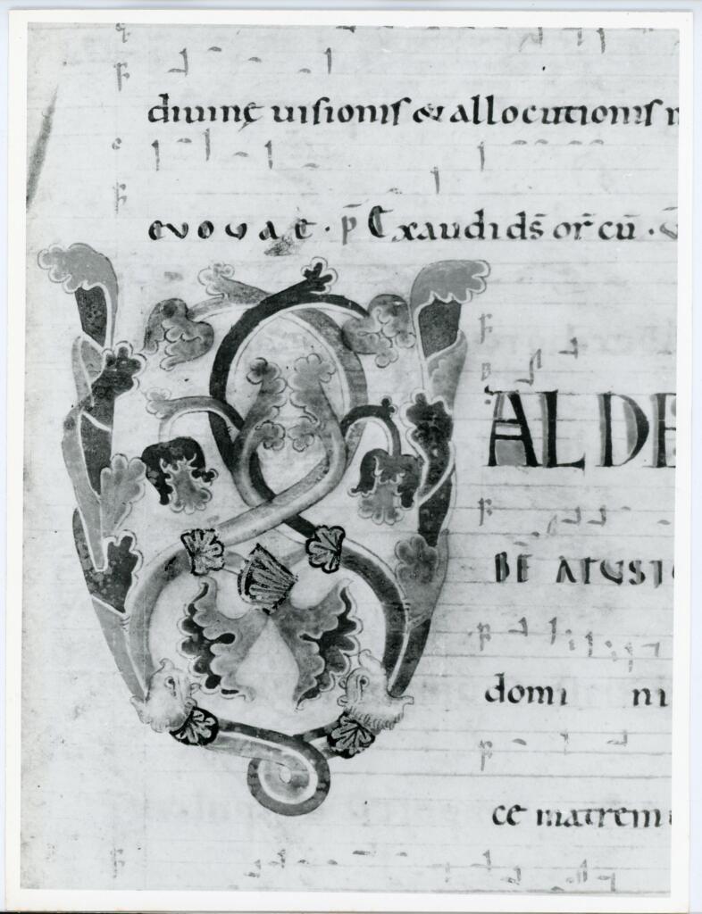 Anonimo italiano sec. XII , Iniziale V, Iniziale decorata, Motivi decorativi vegetali e animali