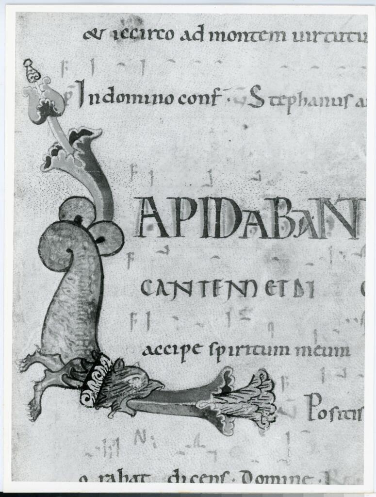 Anonimo italiano sec. XII , Iniziale L, Iniziale figurata, Motivi decorativi vegetali e animali