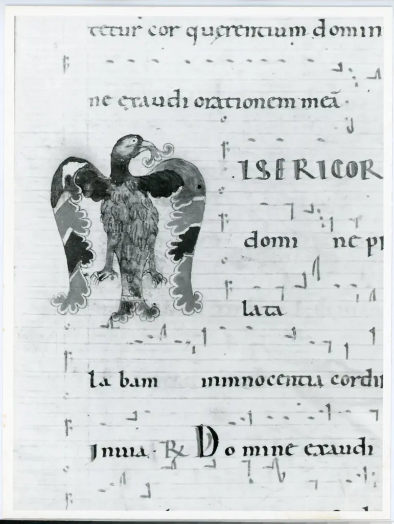 Anonimo italiano sec. XII , Iniziale M, Iniziale figurata, Motivo decorativo zoomorfo