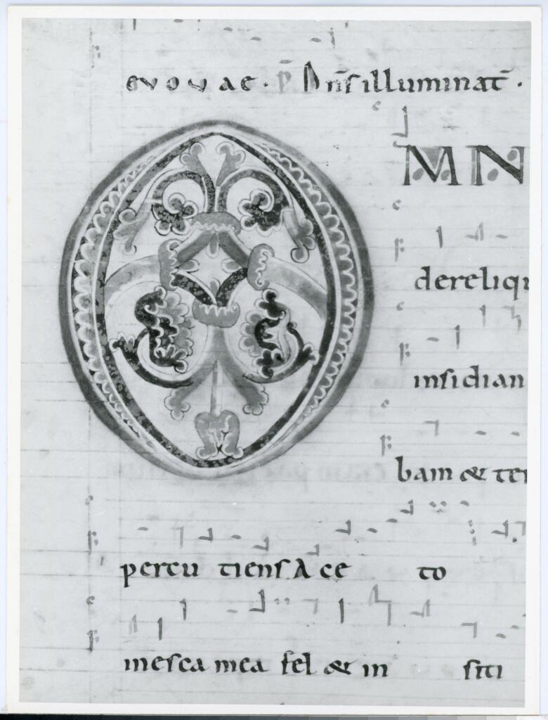 Anonimo italiano sec. XII , Iniziale O, Iniziale decorata, Motivi decorativi fitomorfi