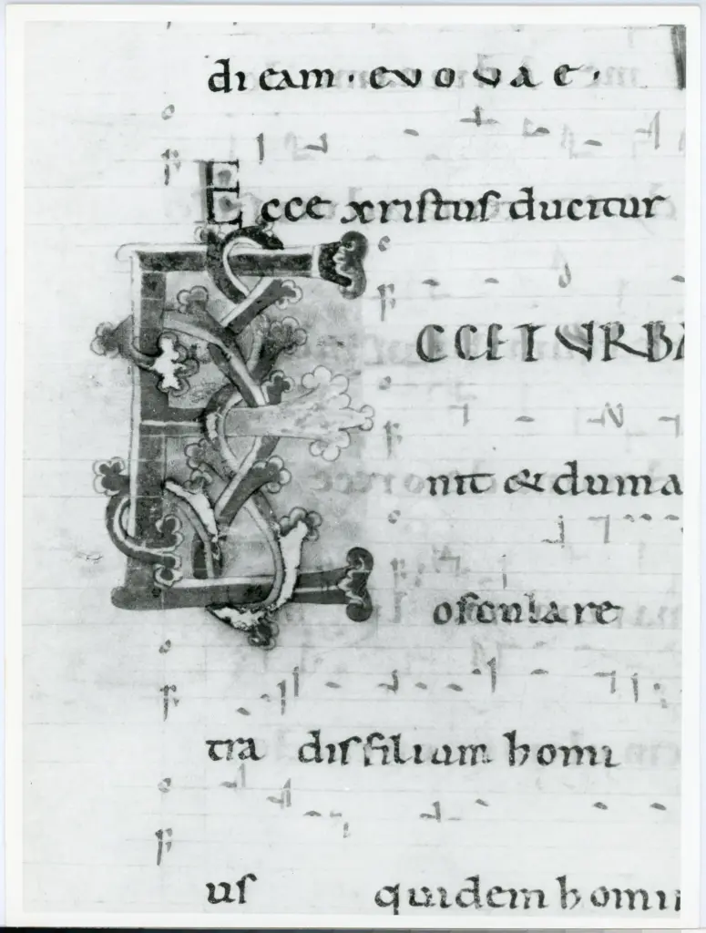 Universit&agrave; di Pisa. Dipartimento di Storia delle Arti , Anonimo italiano - sec. XII, inizio - Lucca, Biblioteca Capitolare Feliniana, Ms. 603, f. 79v, particolare , fronte