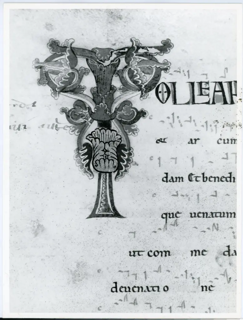 Universit&agrave; di Pisa. Dipartimento di Storia delle Arti , Anonimo italiano - sec. XII, inizio - Lucca, Biblioteca Capitolare Feliniana, Ms. 603, f. 60v, particolare , fronte