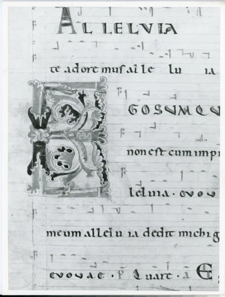 Anonimo italiano sec. XII , Iniziale E, Iniziale decorata, Motivi decorativi fitomorfi