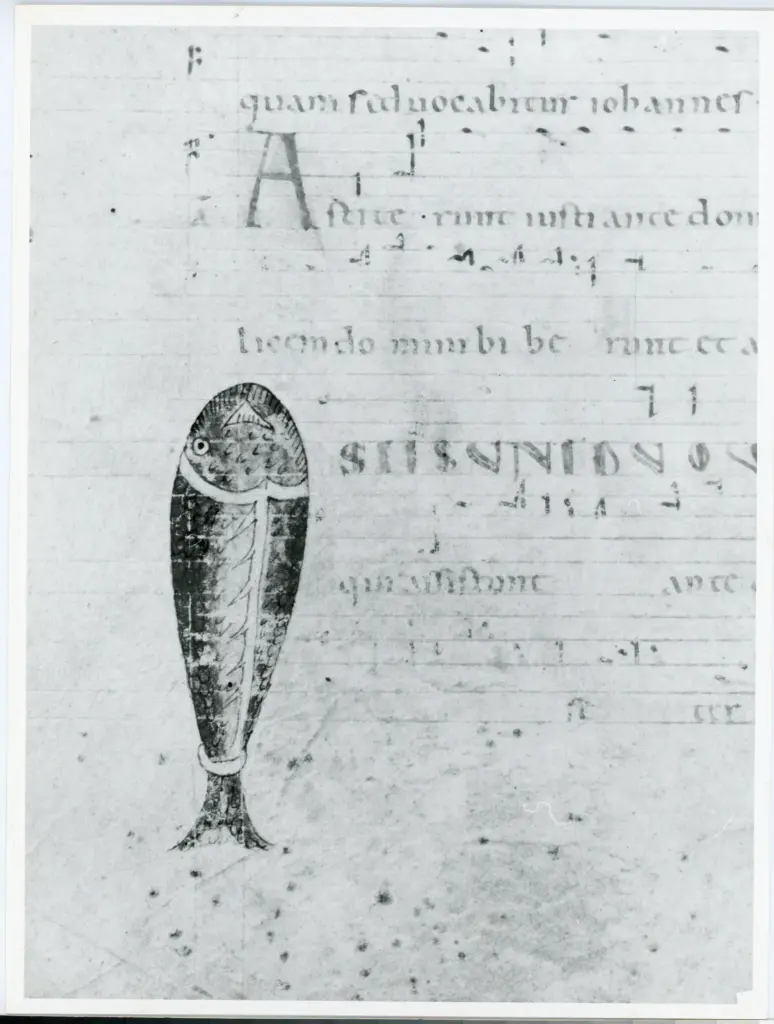 Anonimo italiano sec. XII , Iniziale I, Iniziale figurata, Pesce