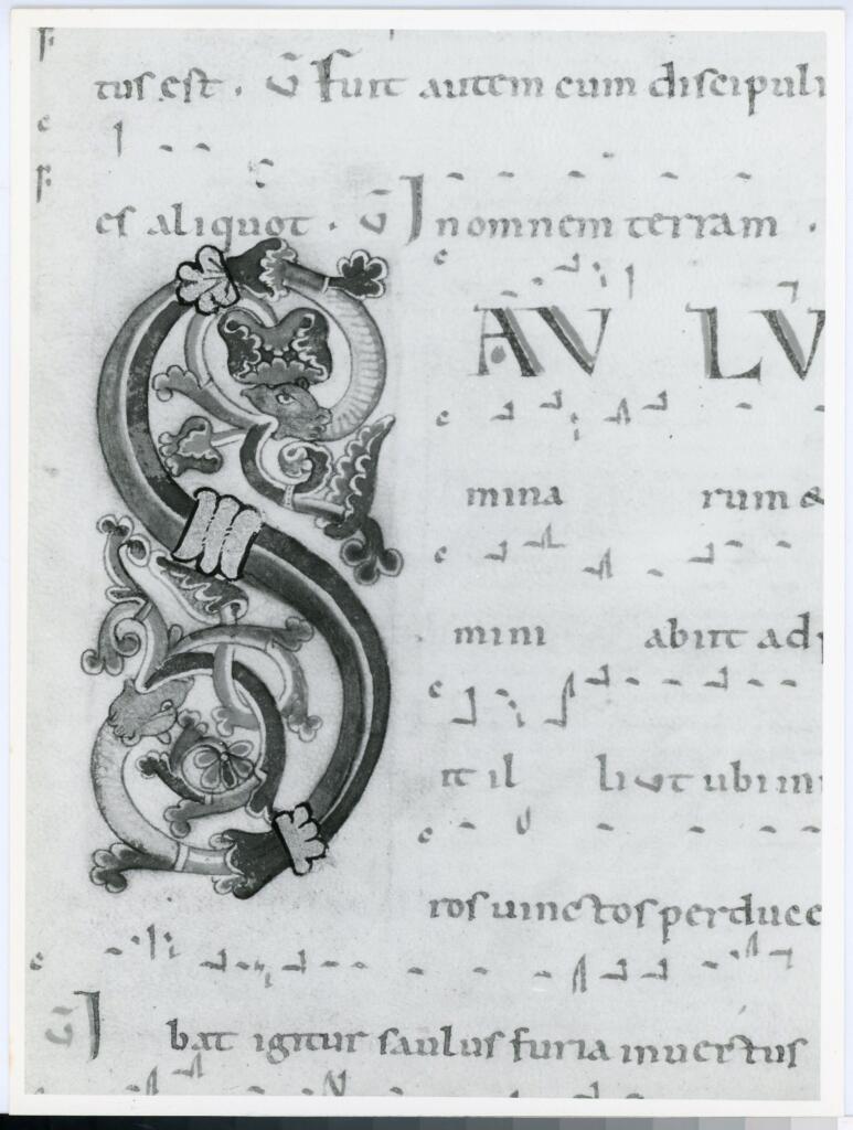 Anonimo italiano sec. XII , Iniziale S, Iniziale decorata, Motivi decorativi vegetali e zoomorfi