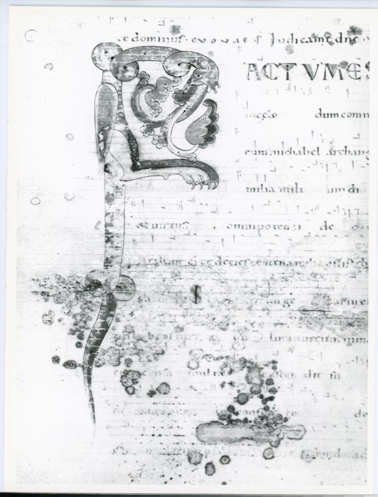 Università di Pisa. Dipartimento di Storia delle Arti , Anonimo italiano - sec. XII, inizio - Lucca, Biblioteca Capitolare Feliniana, Ms. 601, f. 209v, particolare , fronte