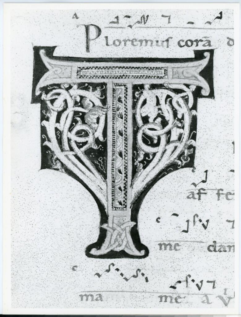 Anonimo italiano sec. XII , Iniziale T, Iniziale decorata, Motivi decorativi fitomorfi, Motivi decorativi geometrici