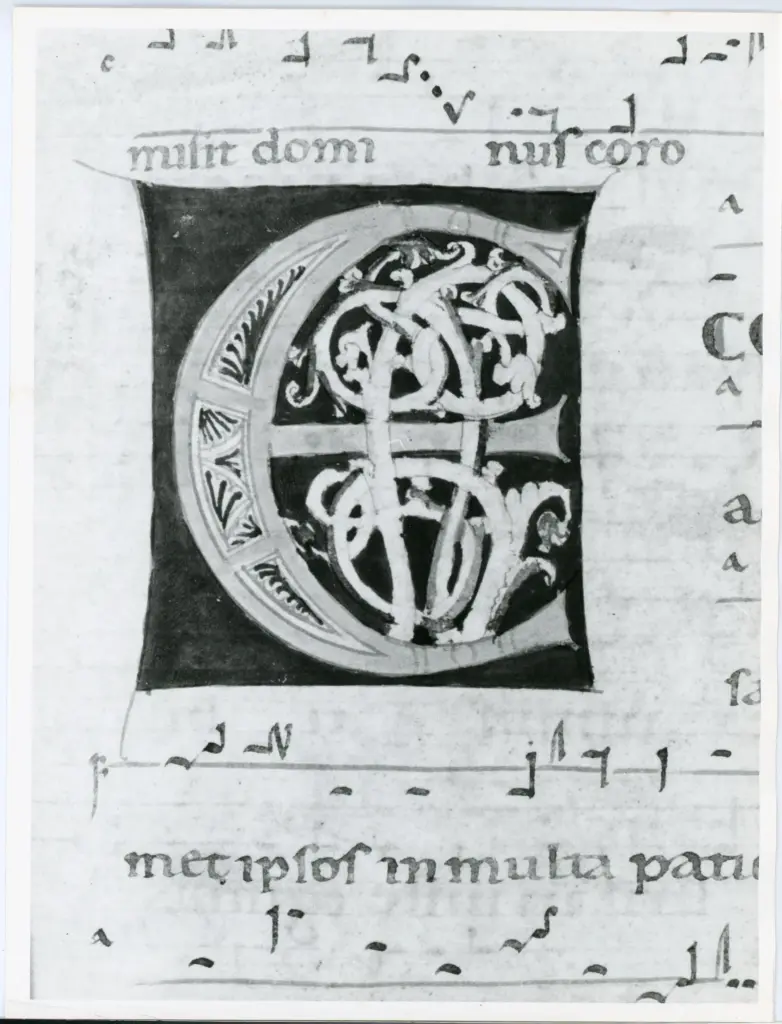 Universit&agrave; di Pisa. Dipartimento di Storia delle Arti , Anonimo italiano - sec. XII, met&agrave; - Lucca, Biblioteca Capitolare Feliniana, Ms. 601, f. 64r, particolare , fronte