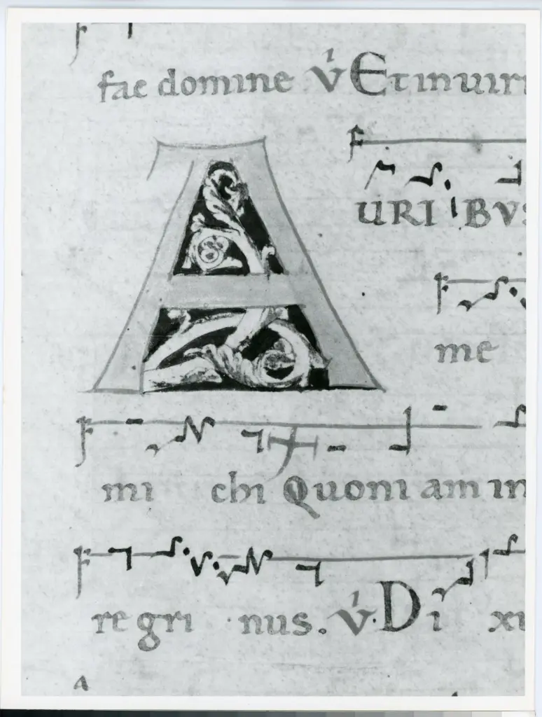 Universit&agrave; di Pisa. Dipartimento di Storia delle Arti , Anonimo italiano - sec. XII, met&agrave; - Lucca, Biblioteca Capitolare Feliniana, Ms. 601, f. 46r, particolare , fronte