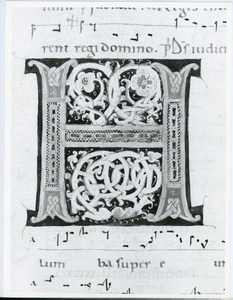 Anonimo italiano sec. XII , Iniziale H, Iniziale decorata, Motivi decorativi fitomorfi, Motivi decorativi geometrici