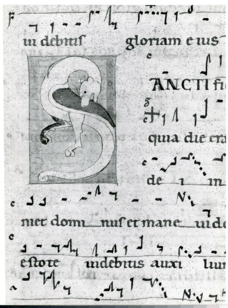 Anonimo italiano sec. XII , Iniziale S, Iniziale figurata, Motivo decorativo zoomorfo