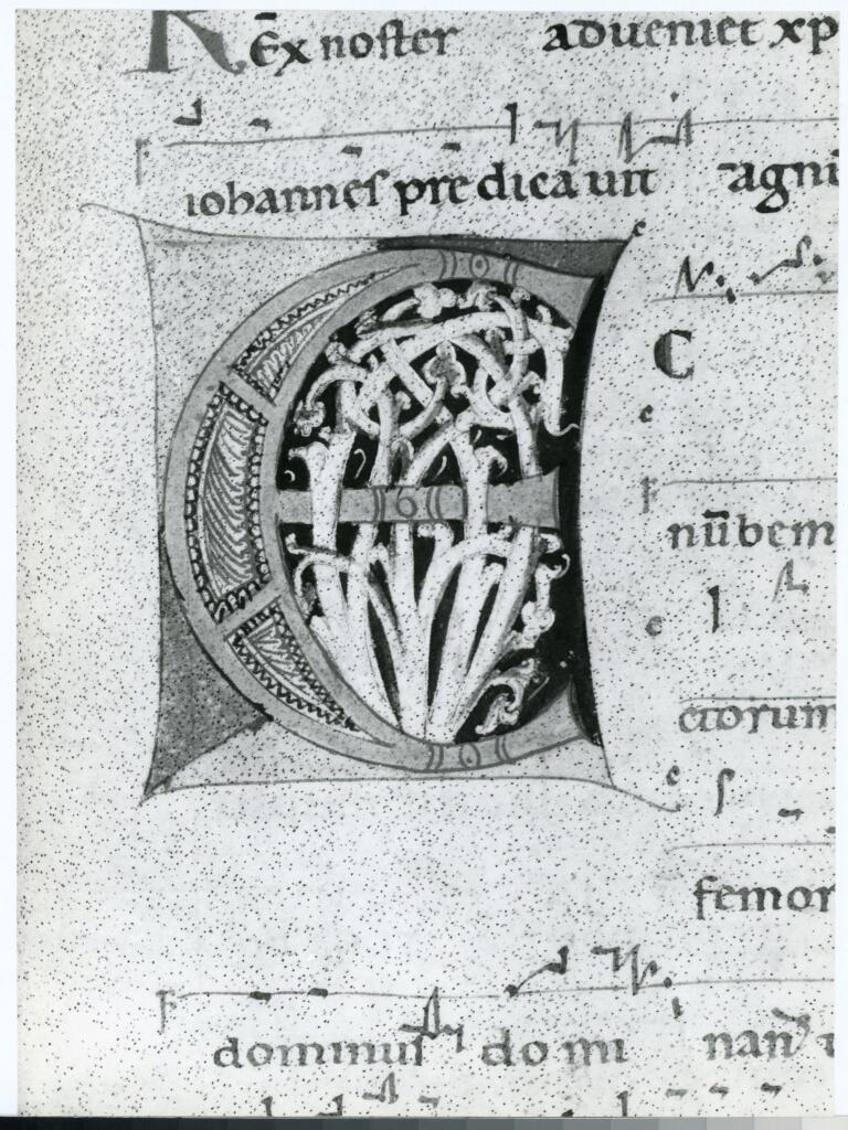 Anonimo italiano sec. XII , Iniziale E, Iniziale decorata, Motivi decorativi fitomorfi, Motivi decorativi geometrici