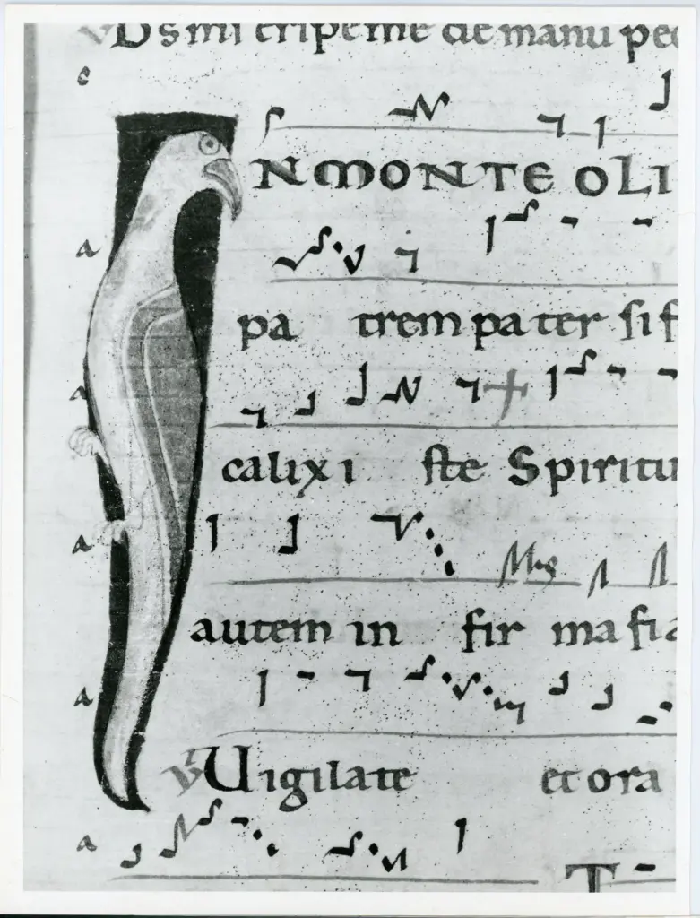 Anonimo italiano sec. XII , Iniziale I, Iniziale figurata, Motivo decorativo zoomorfo