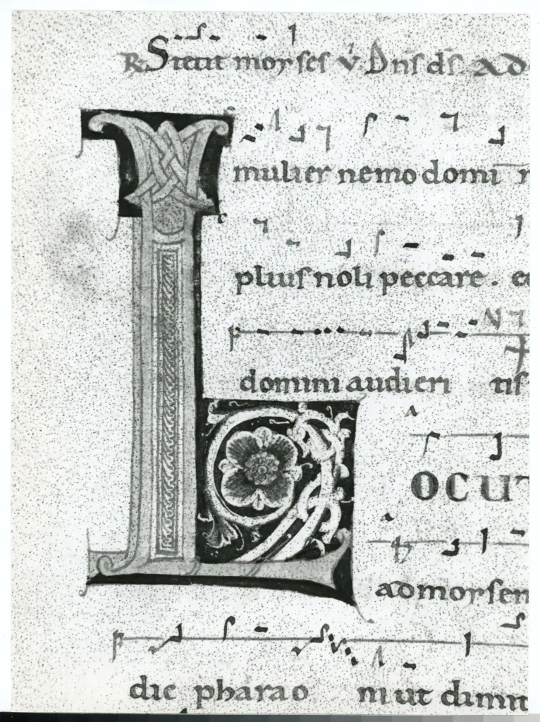 Anonimo italiano sec. XII , Iniziale L, Iniziale decorata, Motivi decorativi fitomorfi, Motivi decorativi geometrici, Intreccio