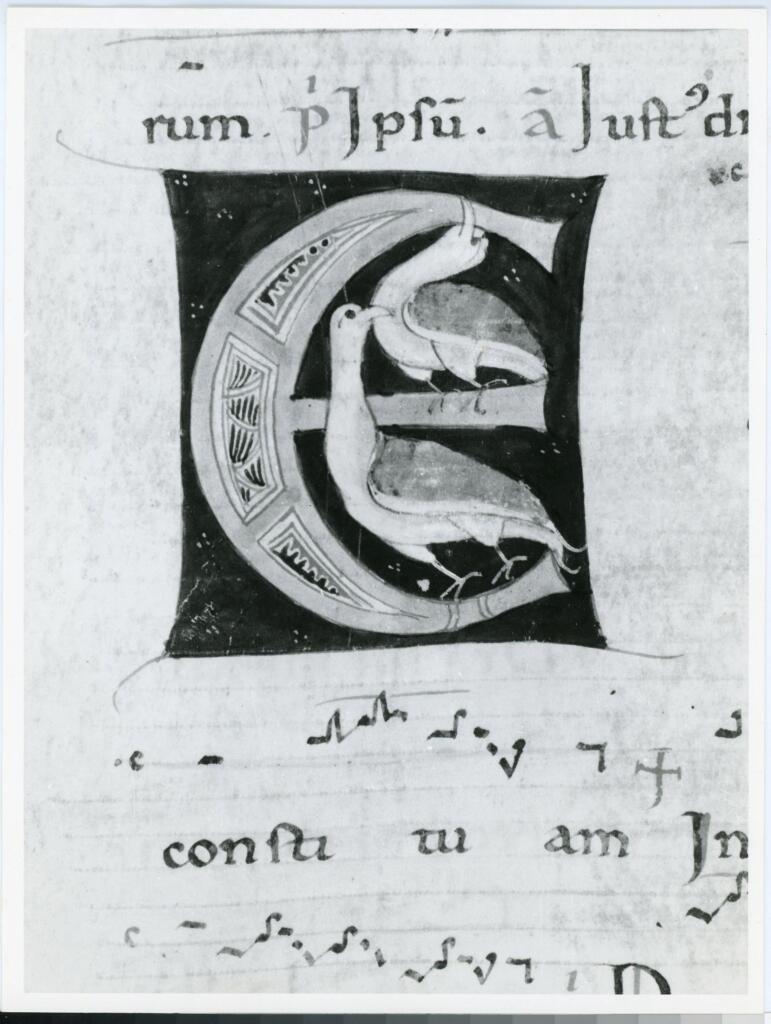 Anonimo italiano sec. XII , Iniziale E, Iniziale abitata, Motivo decorativo zoomorfo, Motivi decorativi geometrici