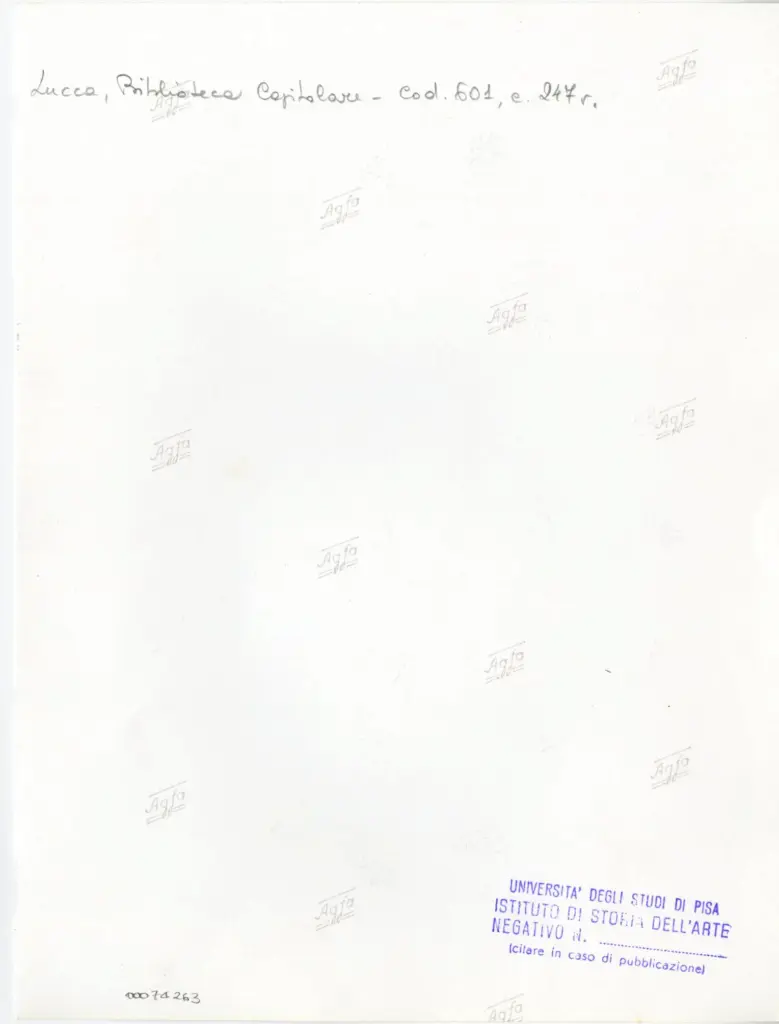 Universit&agrave; di Pisa. Dipartimento di Storia delle Arti , Anonimo italiano - sec. XII, met&agrave; - Lucca, Biblioteca Capitolare Feliniana, Ms. 601, f. 247v, particolare , retro