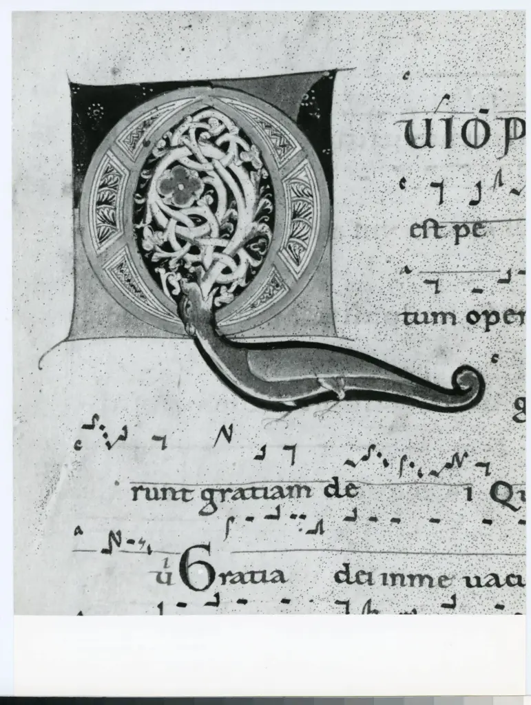 Universit&agrave; di Pisa. Dipartimento di Storia delle Arti , Anonimo italiano - sec. XII, met&agrave; - Lucca, Biblioteca Capitolare Feliniana, Ms. 601, f. 212v, particolare , fronte