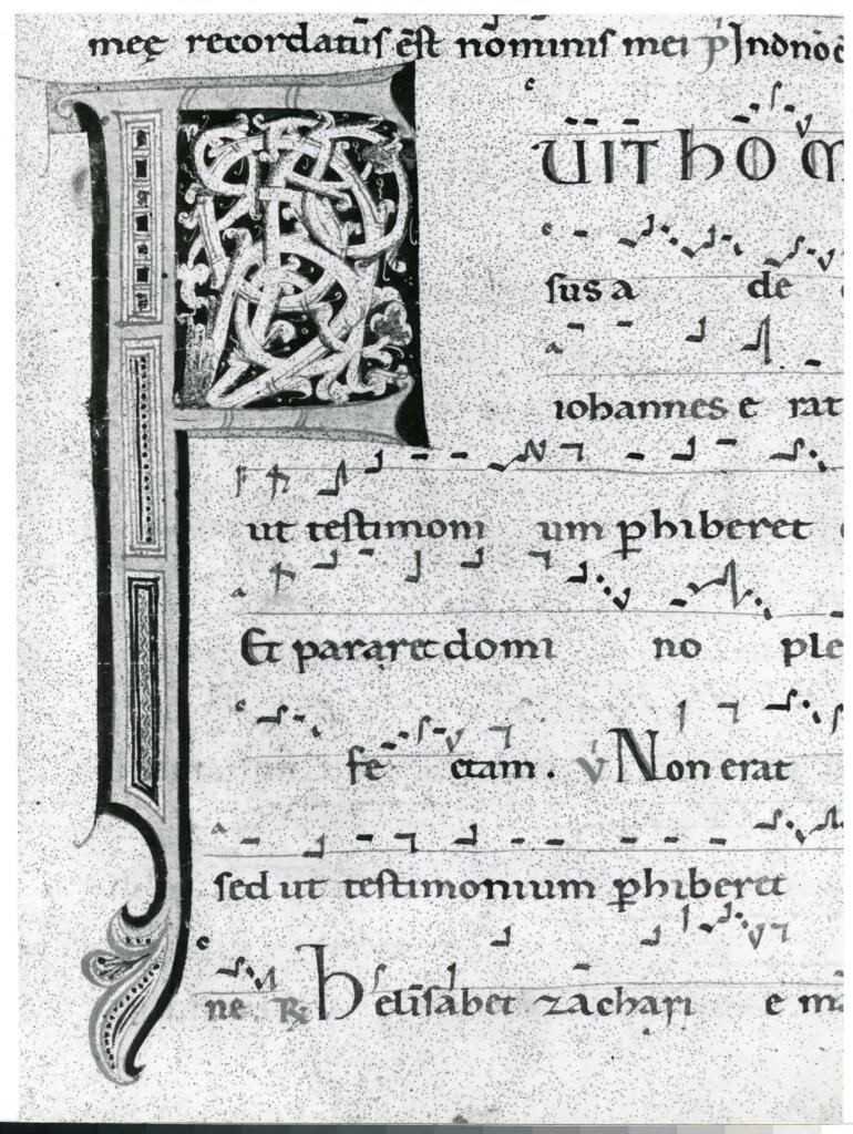 Anonimo italiano sec. XII , Iniziale F, Iniziale decorata, Motivi decorativi fitomorfi, Motivi decorativi geometrici