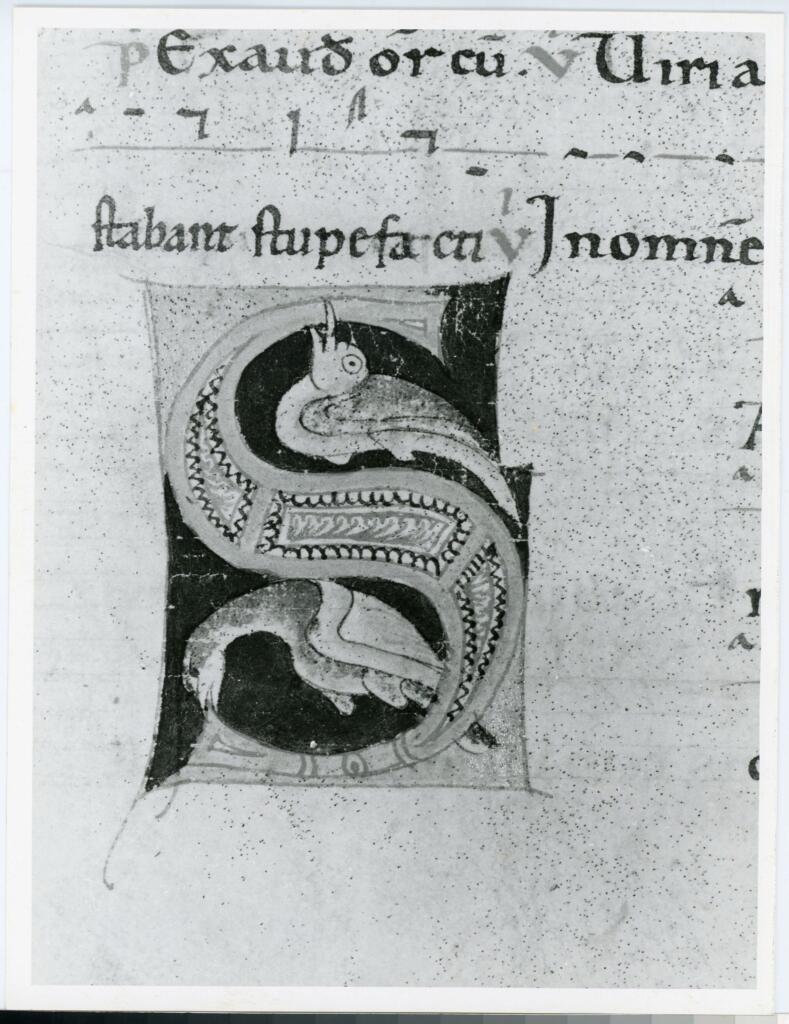 Anonimo italiano sec. XII , Iniziale S, Iniziale abitata, Motivo decorativo zoomorfo, Motivi decorativi geometrici