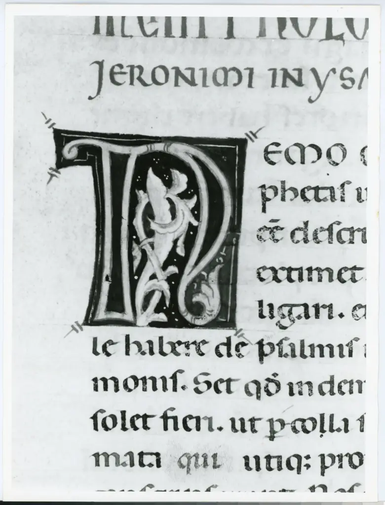 Universit&agrave; di Pisa. Dipartimento di Storia delle Arti , Marco di Berlinghiero - sec. XIII, met&agrave; - Lucca, Biblioteca Capitolare Feliniana, Ms. 1, f. 50r, particolare , fronte