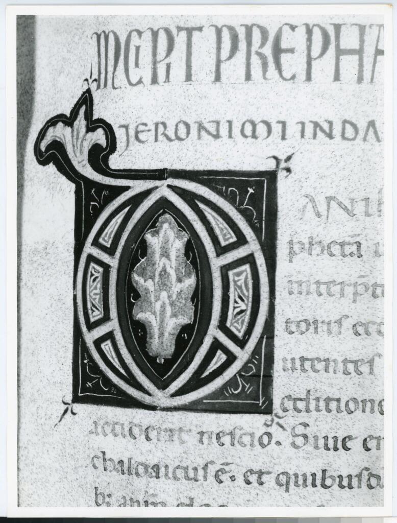 Marco di Berlinghiero , Iniziale D, Iniziale decorata, Motivi decorativi fitomorfi, Motivi decorativi geometrici