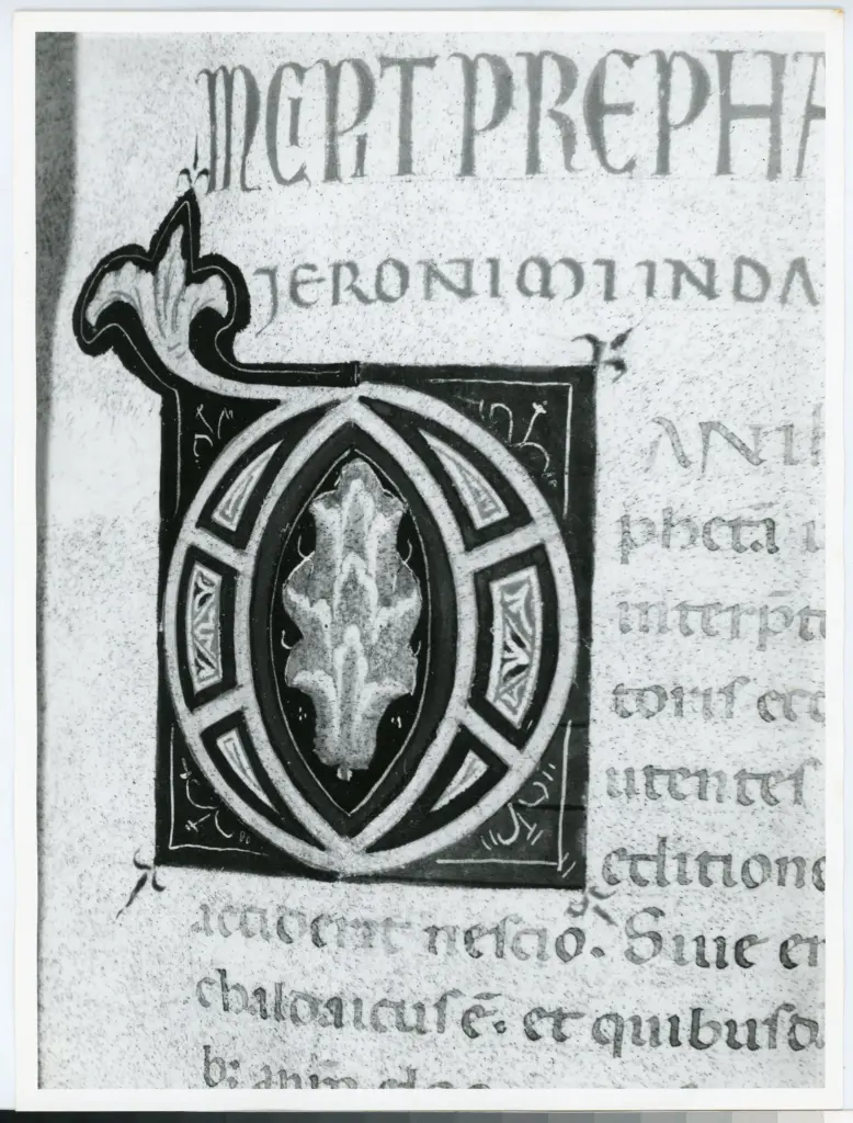Universit&agrave; di Pisa. Dipartimento di Storia delle Arti , Marco di Berlinghiero - sec. XIII, met&agrave; - Lucca, Biblioteca Capitolare Feliniana, Ms. 1, f. 135r, particolare , fronte
