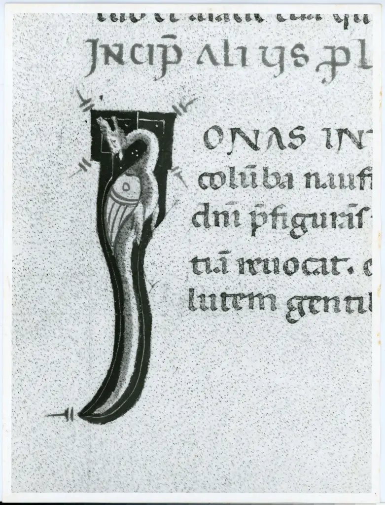 Universit&agrave; di Pisa. Dipartimento di Storia delle Arti , Marco di Berlinghiero - sec. XIII - Iniziale I; Iniziale figurata; Motivo decorativo zoomorfo , fronte