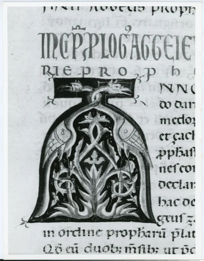 Universit&agrave; di Pisa. Dipartimento di Storia delle Arti , Marco di Berlinghiero - sec. XIII, met&agrave; - Lucca, Biblioteca Capitolare Feliniana, Ms. 1, f. 164r, particolare , fronte
