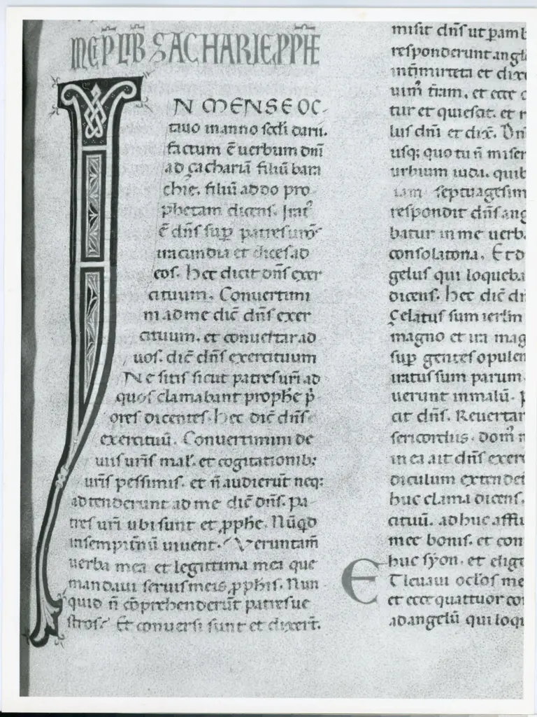 Universit&agrave; di Pisa. Dipartimento di Storia delle Arti , Marco di Berlinghiero - sec. XIII, met&agrave; - Lucca, Biblioteca Capitolare Feliniana, Ms. 1, f. 165r, particolare , fronte