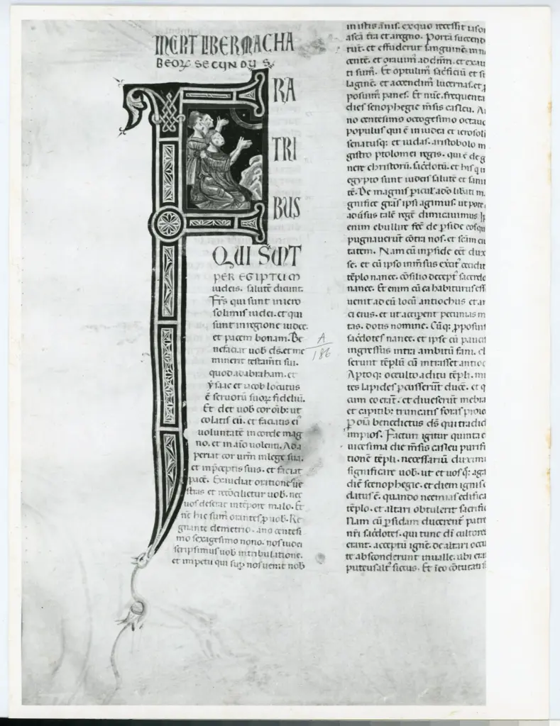 Universit&agrave; di Pisa. Dipartimento di Storia delle Arti , Marco di Berlinghiero - sec. XIII, met&agrave; - Lucca, Biblioteca Capitolare Feliniana, Ms. 1, f. 187v, intero , fronte
