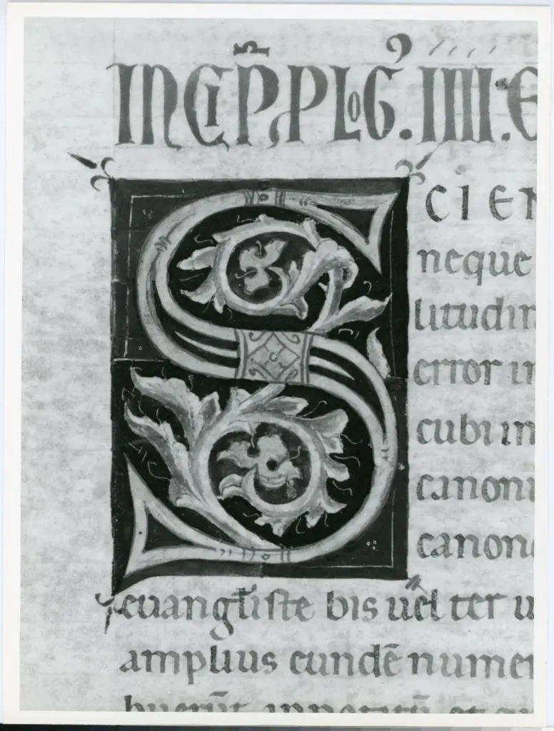 Universit&agrave; di Pisa. Dipartimento di Storia delle Arti , Marco di Berlinghiero - sec. XIII, met&agrave; - Lucca, Biblioteca Capitolare Feliniana, Ms. 1, f. 197v, particolare , fronte