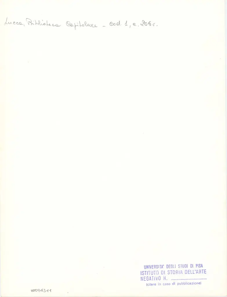 Universit&agrave; di Pisa. Dipartimento di Storia delle Arti , Marco di Berlinghiero - sec. XIII, met&agrave; - Lucca, Biblioteca Capitolare Feliniana, Ms. 1, f. 207v, particolare , retro