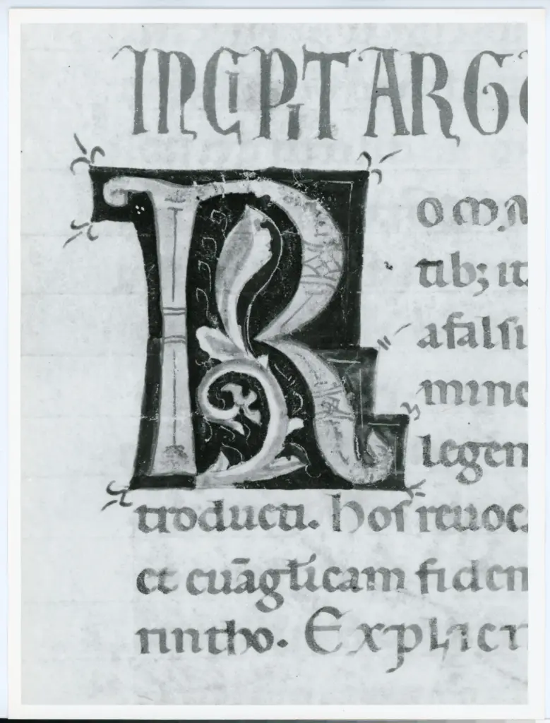 Universit&agrave; di Pisa. Dipartimento di Storia delle Arti , Marco di Berlinghiero - sec. XIII, met&agrave; - Lucca, Biblioteca Capitolare Feliniana, Ms. 1, f. 234r, particolare , fronte