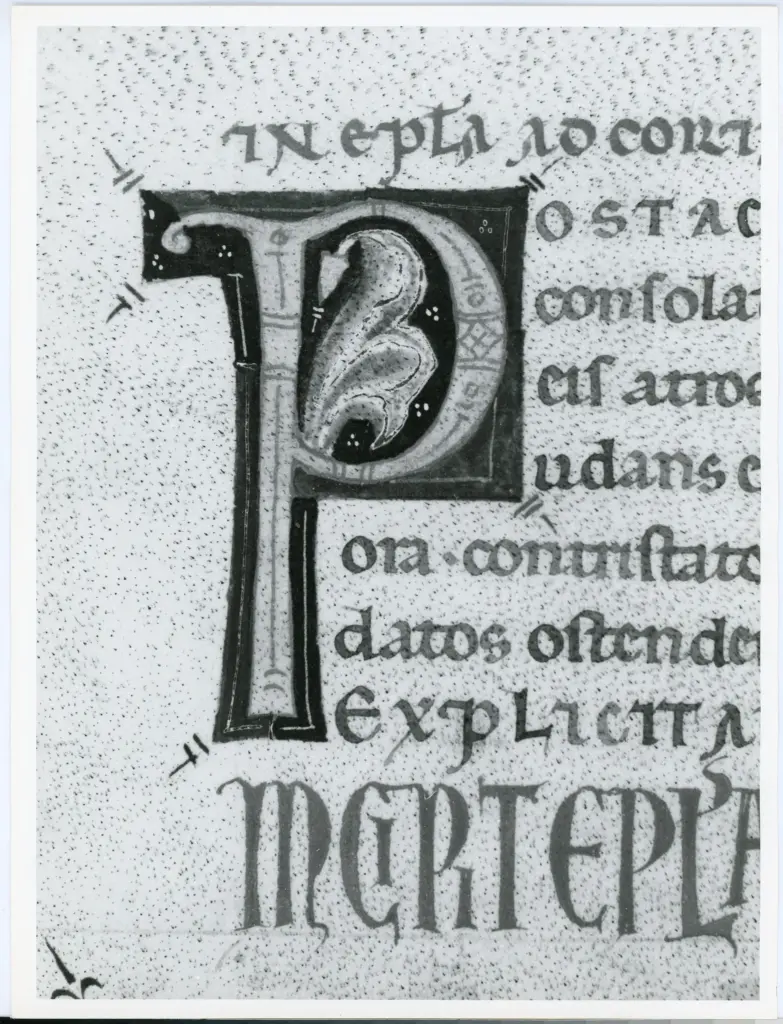 Universit&agrave; di Pisa. Dipartimento di Storia delle Arti , Marco di Berlinghiero - sec. XIII, met&agrave; - Lucca, Biblioteca Capitolare Feliniana, Ms. 1, f. 244v, particolare , fronte