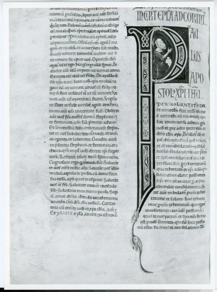 Marco di Berlinghiero , Iniziale P, Iniziale abitata, Motivi decorativi geometrici e vegetali, Motivo decorativo zoomorfo, Intreccio, San Paolo