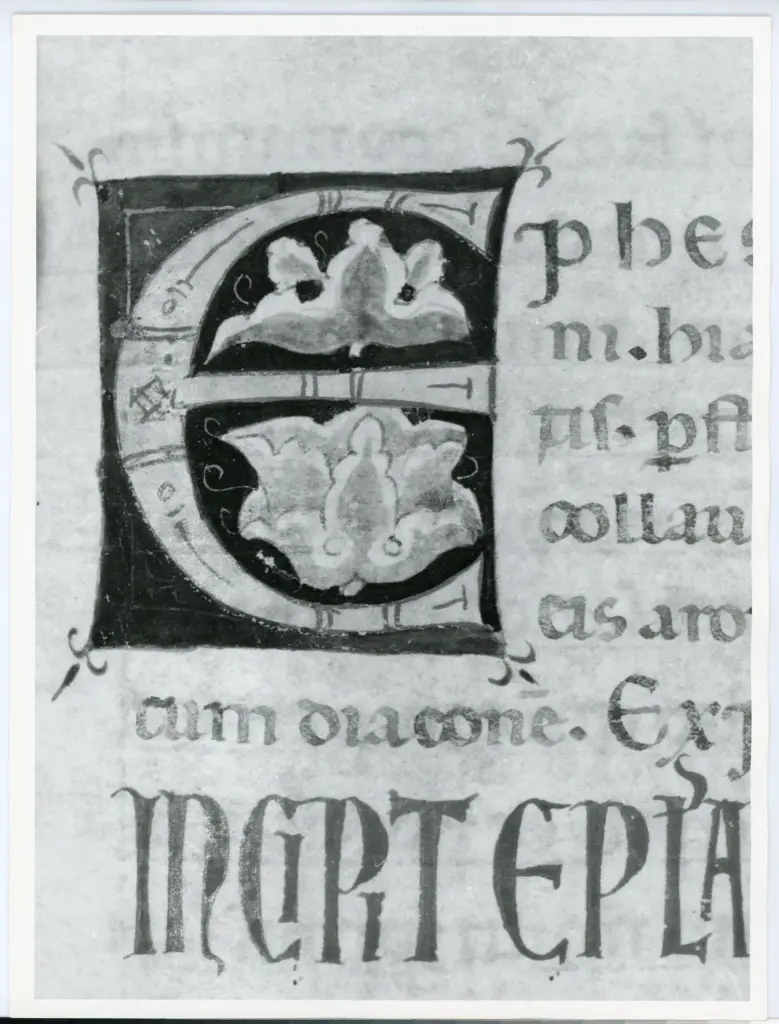 Universit&agrave; di Pisa. Dipartimento di Storia delle Arti , Marco di Berlinghiero - sec. XIII, met&agrave; - Lucca, Biblioteca Capitolare Feliniana, Ms. 1, f. 250r, particolare , fronte