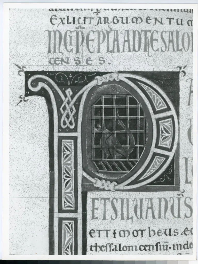 Universit&agrave; di Pisa. Dipartimento di Storia delle Arti , Marco di Berlinghiero - sec. XIII, met&agrave; - Lucca, Biblioteca Capitolare Feliniana, Ms. 1, f. 254v, particolare , fronte