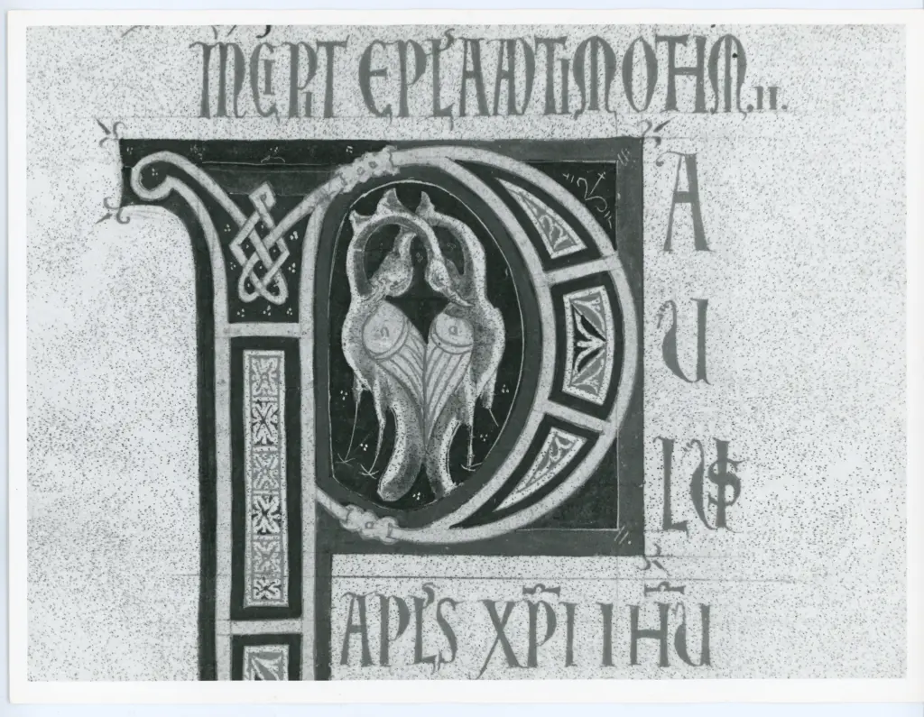 Università di Pisa. Dipartimento di Storia delle Arti , Marco di Berlinghiero - sec. XIII, metà - Lucca, Biblioteca Capitolare Feliniana, Ms. 1, f. 258v, particolare , fronte