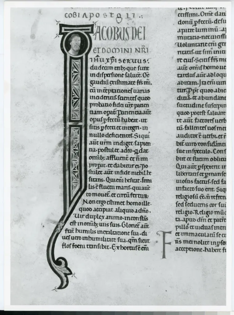 Universit&agrave; di Pisa. Dipartimento di Storia delle Arti , Marco di Berlinghiero - sec. XIII, met&agrave; - Lucca, Biblioteca Capitolare Feliniana, Ms. 1, f. 280v, intero , fronte